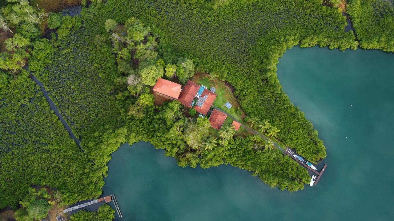 Casa Marlin Bed & Breakfast Bocas Town Exterior foto