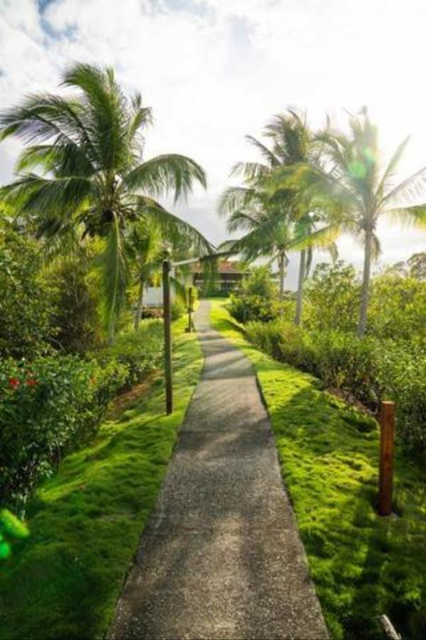 Casa Marlin Bed & Breakfast Bocas Town Exterior foto